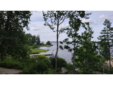 IMG 20260715 164448.jpg