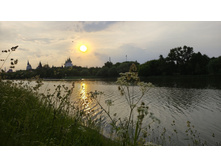 IMG 20260611 193732.jpg