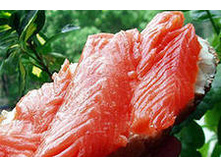 ������ ����� �/�  1 ��  470 �