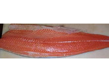 ����� ����� �/� 1 ��  480�.