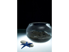 ����� ��������  ����� ���������������