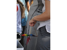 DSC_0631 (680x1024).jpg