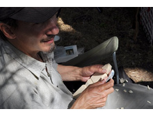 DSC_0657 (1024x682).jpg