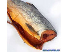 ������� �/� �/� 1��  200�