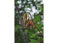 DSC_0724 (680x1024).jpg