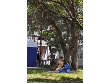 DSC_0779 (680x1024).jpg