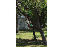 DSC_0783 (683x1024).jpg