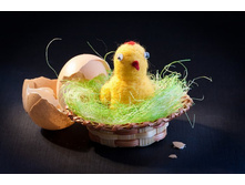 �������� - �������