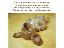 ���� ������ �������...