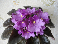 ������� �����.jpg