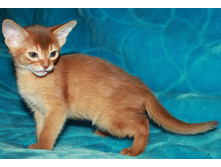 ����������� 1168.jpg