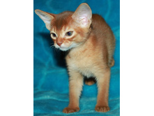 ����������� 1170.jpg