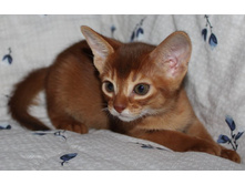 ����������� 1215.jpg