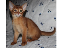 ����������� 1212.jpg