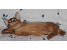 ����������� 1208.jpg