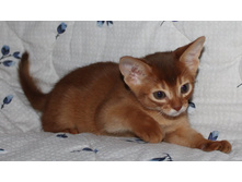 ����������� 1202.jpg