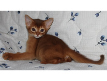 ����������� 1200.jpg