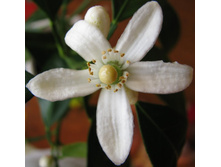 ������ ��������!