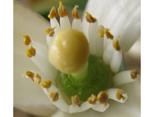 �ݣ ��������