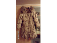 ��� ��������  ��� or-ange