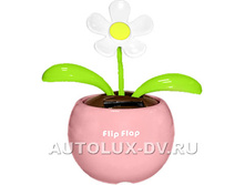 06.04.2010 0:02:22