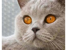 ����������� 002.jpg