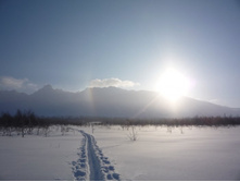 ����