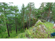 P1030561.JPG