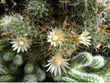 ������� � �����.JPG