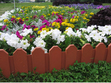 ������, 197 �.