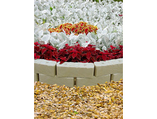 ������ ������, 340 �.