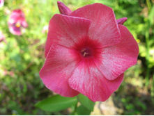 ����� ��������� �����