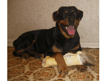 08.04.2010 ����� 1 ���