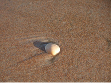 ��� ������ � �� ������