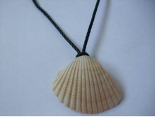 4. 4 �� � 3 ��