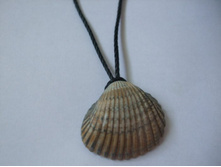 5. 3.5 �� � 3 �� 250�