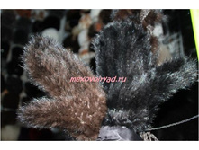 ������ �� �������� �����