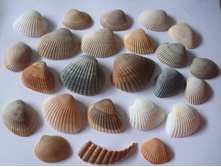 ������� ������� � "����"