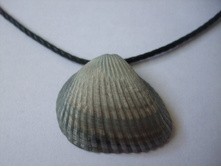 ������ ����� ������� 3 �� � 2.5 �� 300 �