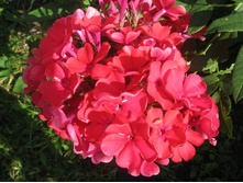 ����� ���������