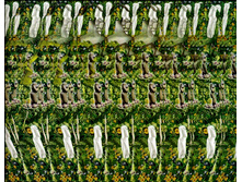 stereogram_me6.jpg