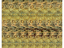 stereogram_me7.jpg