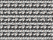 3dstereo_8.jpg