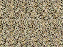3dstereo_61.jpg