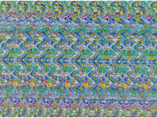 3dstereogram_eagle01.jpg