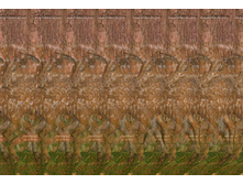 3Dimka_Forest_Stereogram.jpg