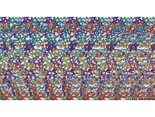 3285_stereogramma.jpg