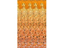3341_ero-stereogramma.jpg