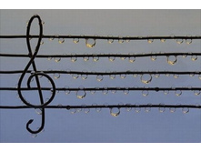 �������� �����������.jpg