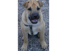 ����� ����������� 044.jpg